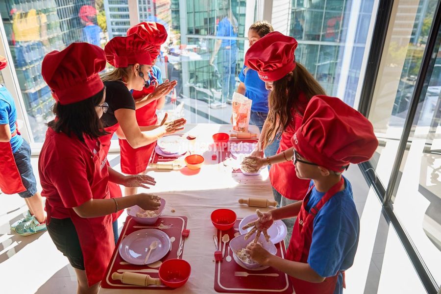 (3) mini chef